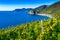 Italy. Liguria. Vineyards grown on the terrace near the village of Manarola