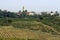 Italy, Lombardia, Pavia district,a village and vineyard.