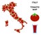 Italy Map Collage of Tomato