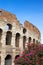 Italy. Rome. The ancient Collosseo