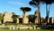 Italy, Rome, Baths of Caracalla (Terme di Caracalla), Great Court and nature (ruins of ancient buildings