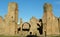 Italy, Rome, Baths of Caracalla (Terme di Caracalla), Great Court (ruins of ancient buildings