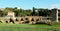 Italy, Rome, Circus Maximus, Archaeological Area of the Circus Maximus, ruins of ancient buildings