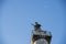 Italy, Rome, Trajan column