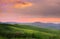 Italy; San Quirico d`Orcia; countryside landscape with red poppy