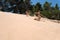 Italy, sand dune on the coast of Puglia