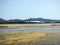 Italy, Sardinia, Carbonia Iglesias, Porto Pino, the pond behind the white sand dunes