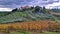 Italy, scenic Tuscany countryside. Golden autumn vineyards fields in Chianti region. famous region for wine production