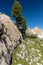 Italy / South Tyrol / Alto Adige: Strange natural rocks and pine trees at national park Fanes - Sennes - Prags, above Lavarella