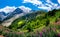 Italy, Stelvio National Park. Famous road to Stelvio Pass in Ortler Alps.