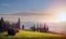 Italy. Tuscany farmland and olives tree; summer countryside Land