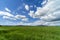 Italy Tuscany Grosseto Maremma rural landscape in bloom, rapeseed fields in flowering hills and pine forest