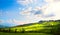 Italy; tuscany landscape; hillside road, cypresses and fields