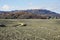 Italy, Tuscany, Val d`Orcia, countryside view