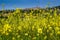 Italy, Tuscany, Volterra, landscape