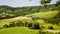 Italy,Umbria,Orvieto,the landscape - farm on the hill