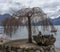 Italy, Varenna, Lake Como, a dry tree along the lake como
