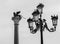 Italy, venice, the street lamps of the place saint marc and its pigeons