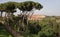 Italy, view from Palatine Hill