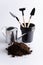 Items for planting bulbous plants at home. Land, watering can, plastic pots, shovels, bulbs on a light background, vertical image