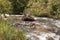 Itiquira river that flowing down from the Indaia waterfal