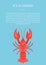 Its a Lobster Poster with Red Crayfish Vector Isolated