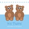 Its twins boy welcome greeting card for childbirth with teddy bear