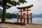 Itsukushima Torii Shrine Miyajima Island Japan