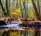 Ittle creek landscape with trees in autumn colors