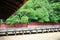 Itukushima Shrine, Hiroshima, Japan.