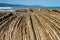 The Itzurum Flysch in Zumaia - Basque Country, Spain