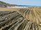 The Itzurum Flysch in Zumaia - Basque Country, Spain