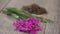 Ivan-tea, Willow-herb, epilobium flower, dry herbal tea on wooden table