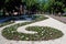 Ivano Frankivsk, Ukraine: Flower garden and trees in Mitskevycha Square