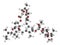 Ivermectin antiparasitic drug molecule. Used in treatment of river blindness, scabies, head lice, etc.