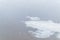 Ivory gull stands on a swiming white ice floe in a cold river with waves, ripples in cloudy weather.