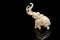 ivory statuette of elephant mammoth on black background