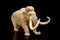 ivory statuette of elephant mammoth on black background