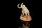 ivory statuette of elephant mammoth on black background