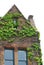 Ivy covered brick building