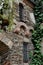 Ivy covered castle wall in Germany