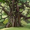 Ivy covered large cartoon tree in a green forest