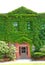 Ivy covered wall, entrance, newspaper building, downtown Keene,