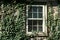 Ivy covered window