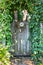 Ivy covering arched trellis framing garden gate