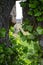 Ivy growing over a ruined castle window