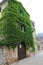 Ivy on house in narrow street in Valldemossa, West Coast, Mallorca