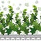 Ivy leaves green climbing wall foliage, vector illustration, border, decorated seamless horizontal