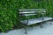 Ivy peaks out of a park bench which stands on pavement