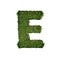 Ivy plant with leaves, green creeper bush and vines forming letter E, English alphabet text font character isolated on white in
